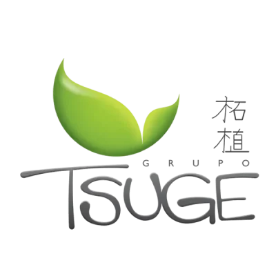 tsuge-600x600-600x600